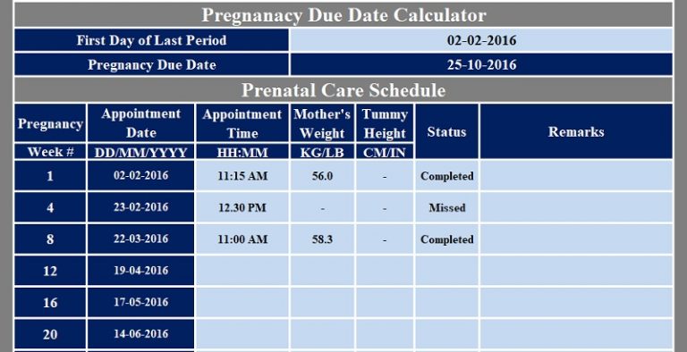 prenatal visit chart