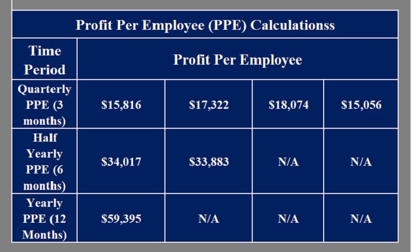 Profit Per Employee Calculator
