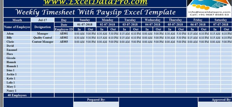 Weekly Timesheet With Payslip