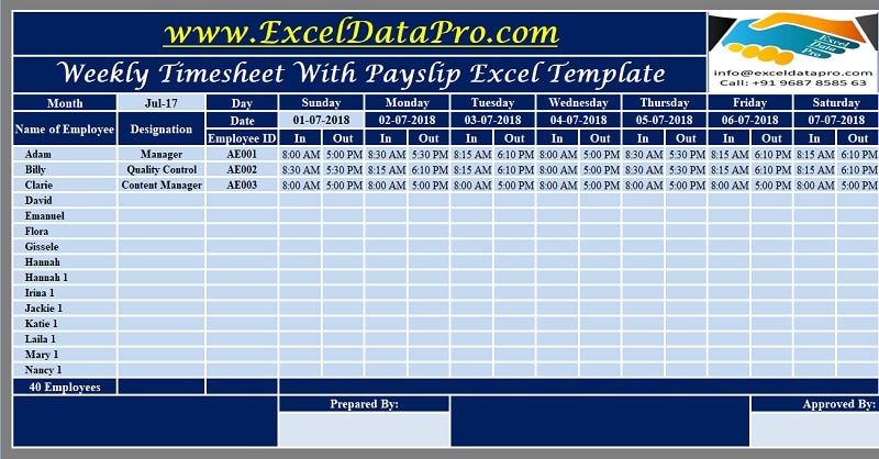 Download Weekly Timesheet With Payslip Excel Template